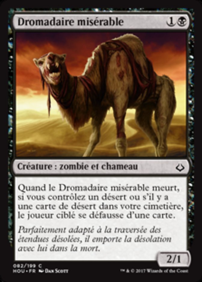 Dromadaire misérable