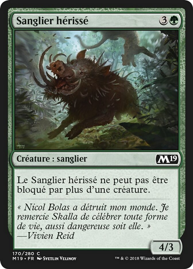 Sanglier hérissé