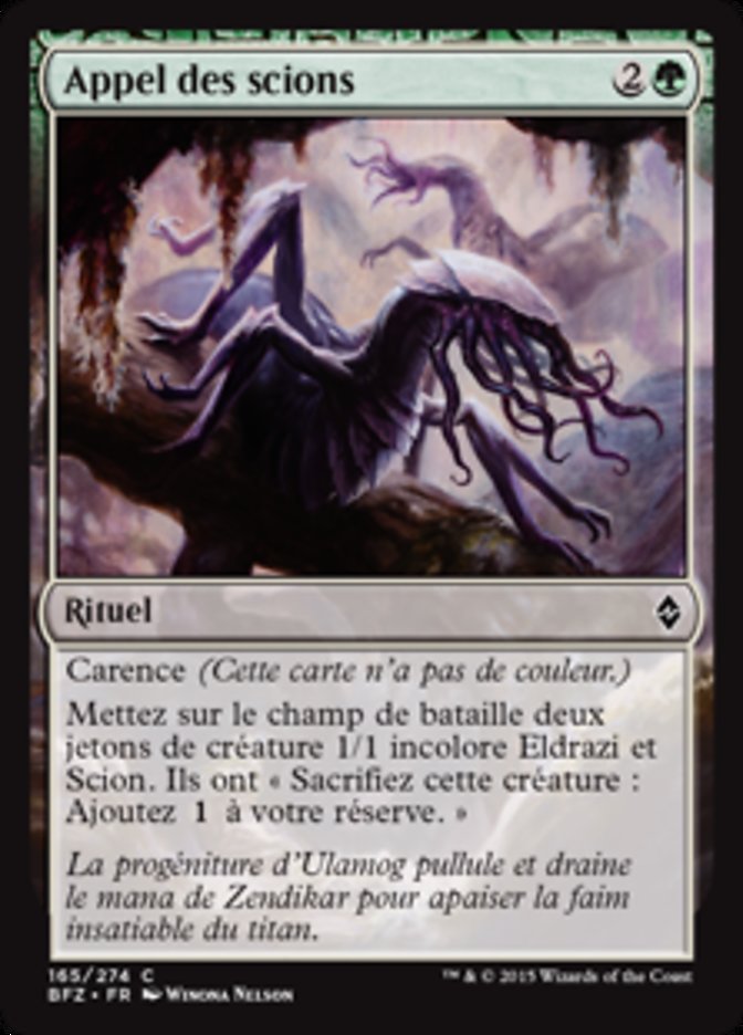 Appel des scions