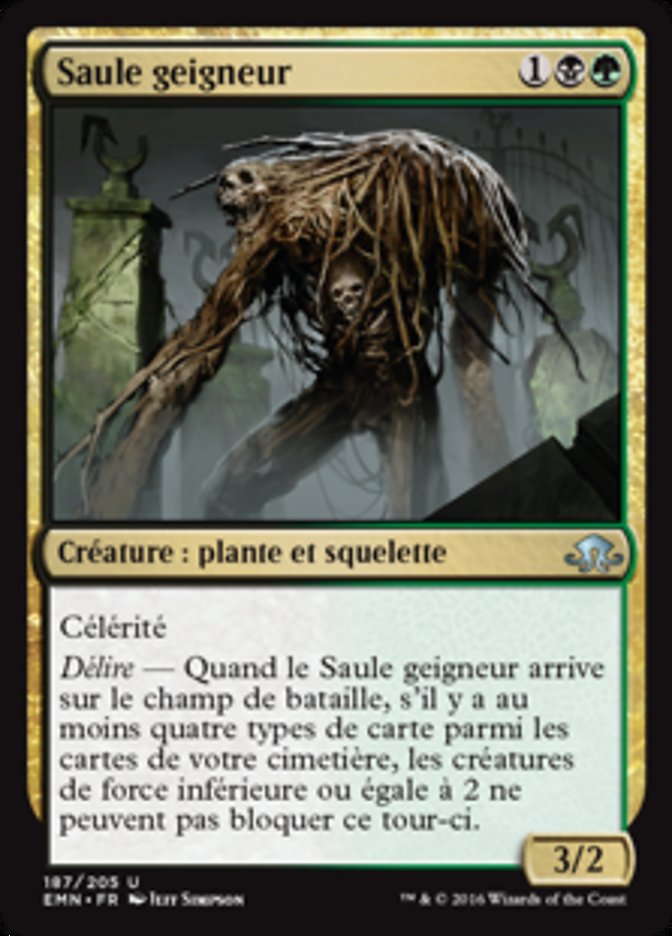 Saule geigneur