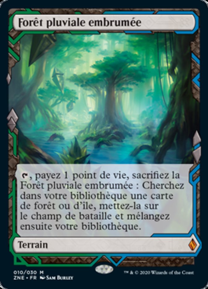Forêt pluviale embrumée