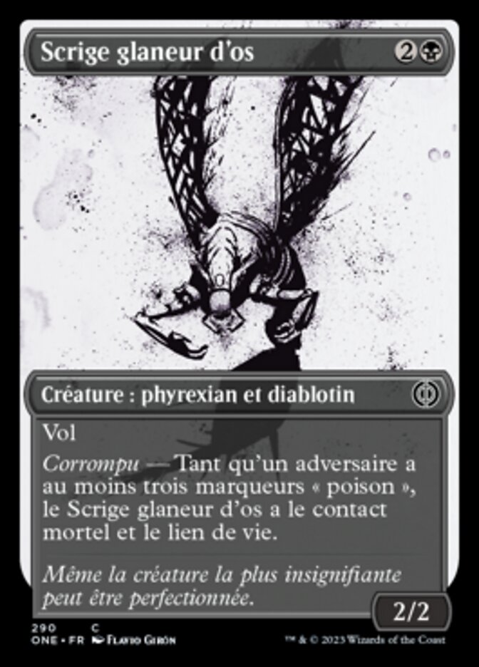 Scrige glaneur d'os