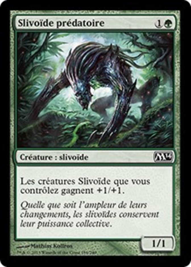 Slivoïde prédatoire