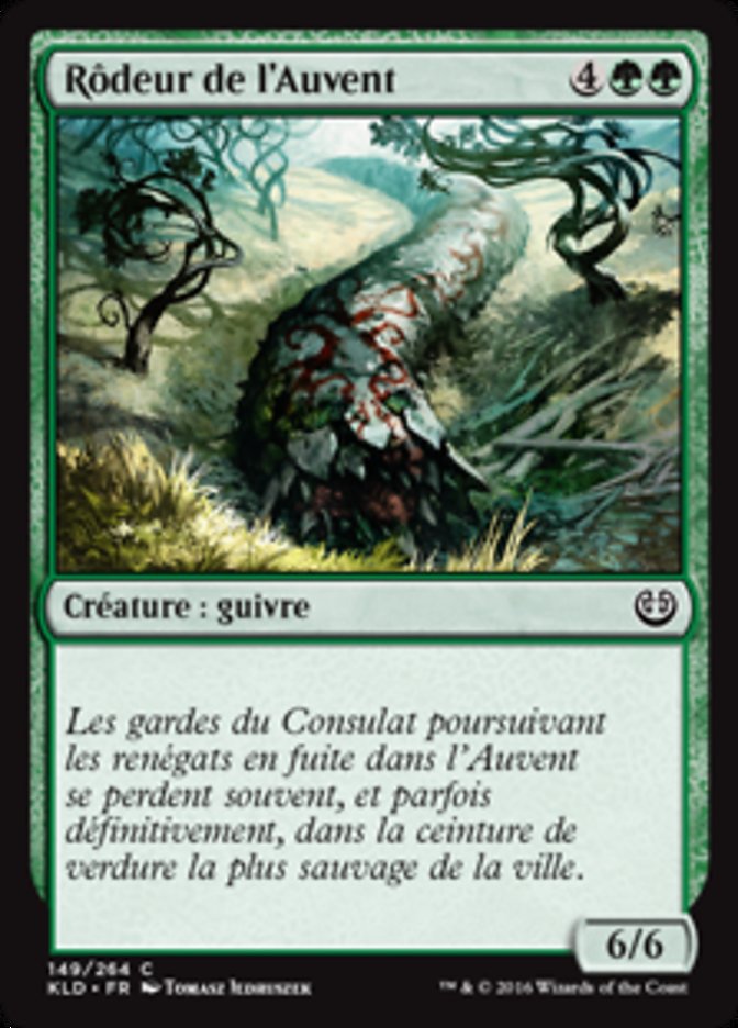 Rôdeur de l'Auvent