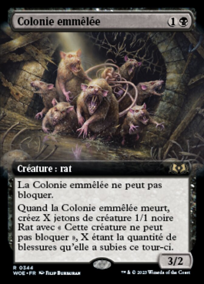 Colonie emmêlée