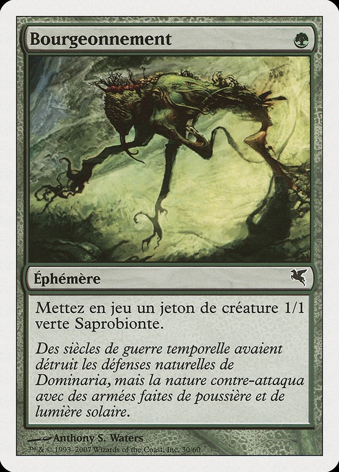Bourgeonnement