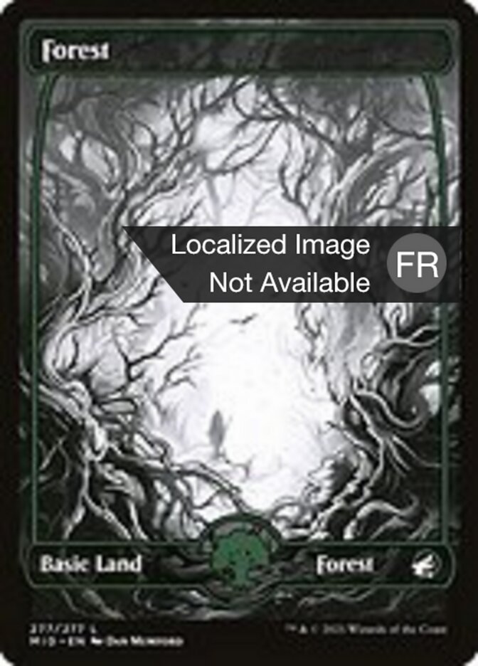 Forêt