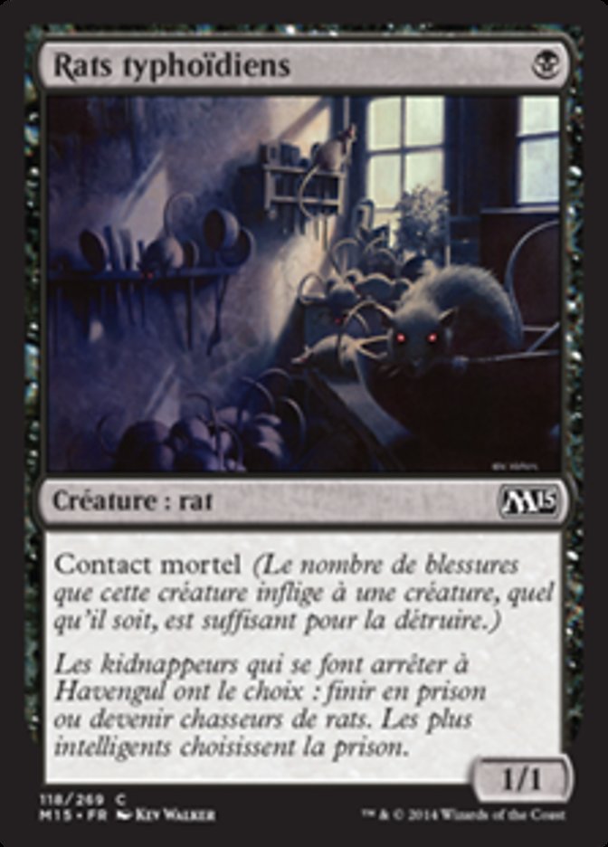 Rats typhoïdiens