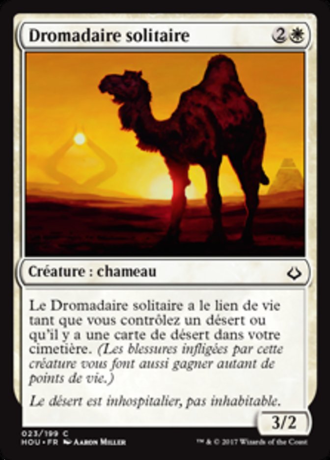 Dromadaire solitaire