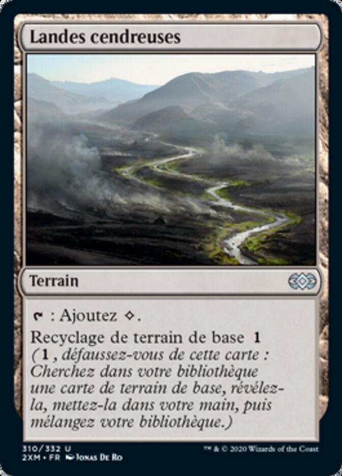 Landes cendreuses