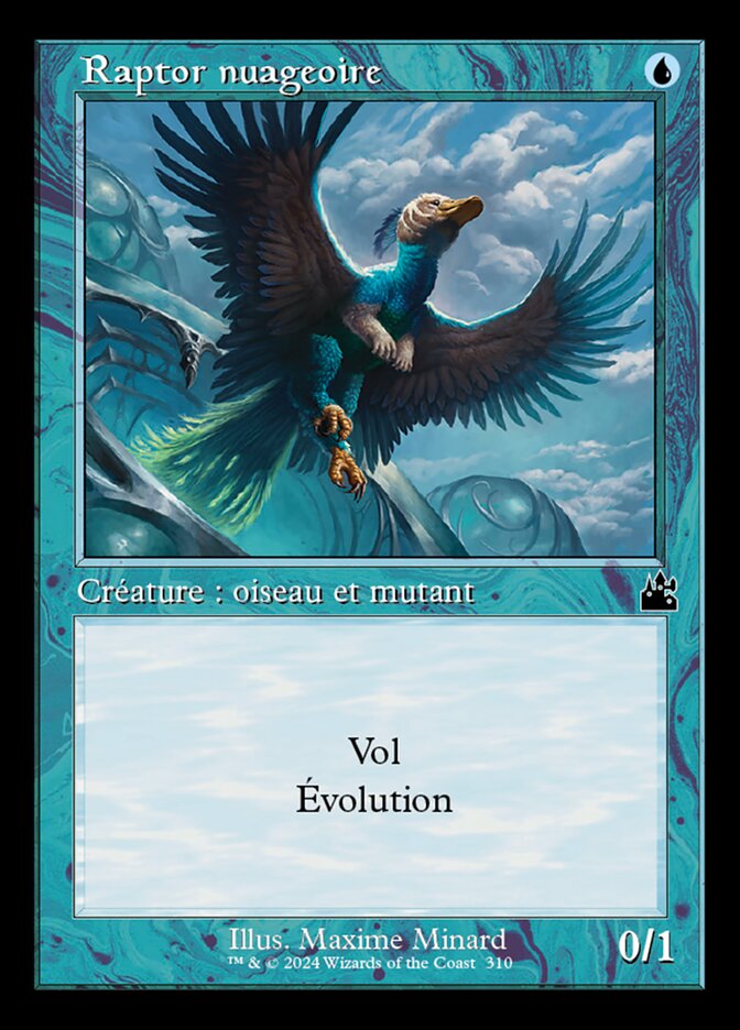 Raptor nuageoire