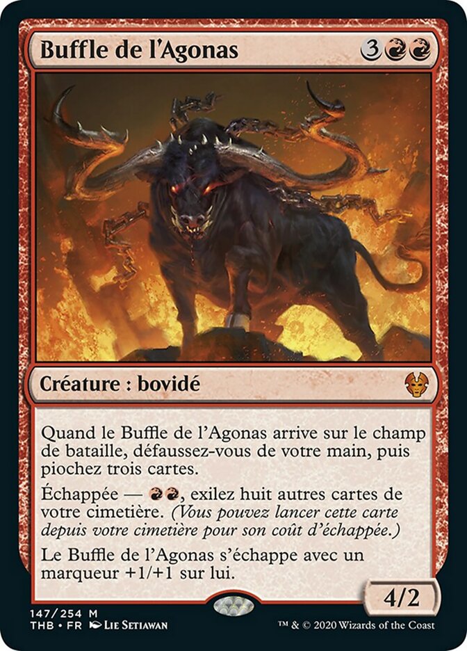 Buffle de l'Agonas
