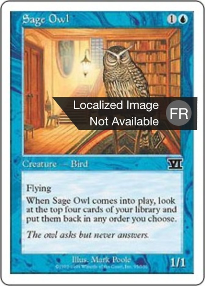 Hibou savant