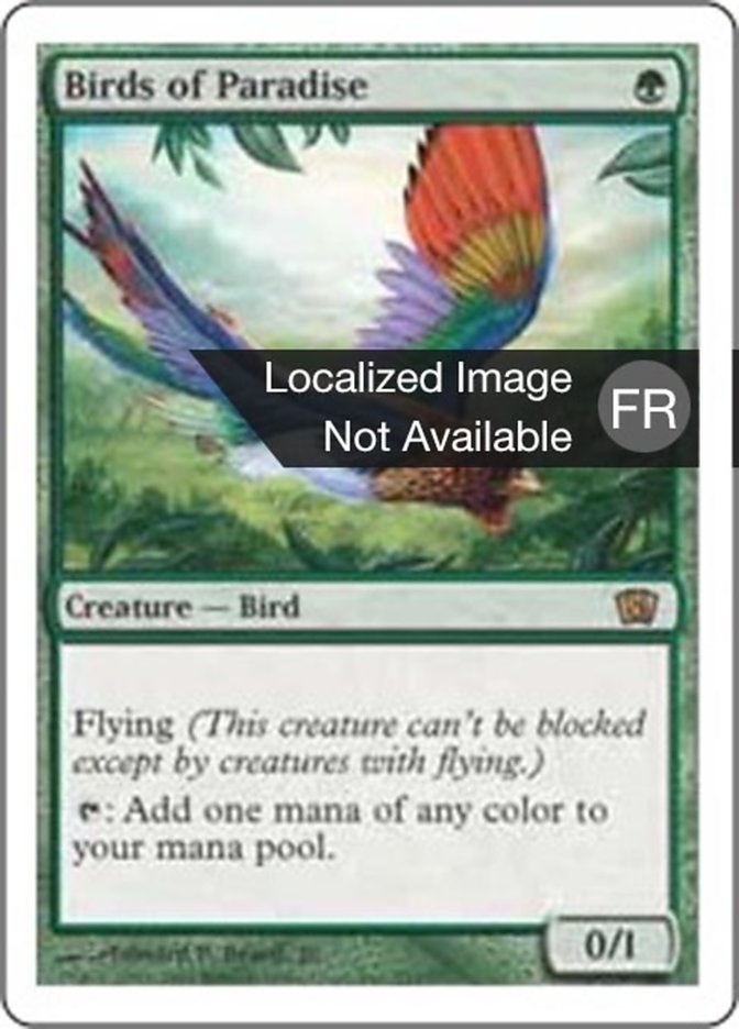 Oiseaux de paradis