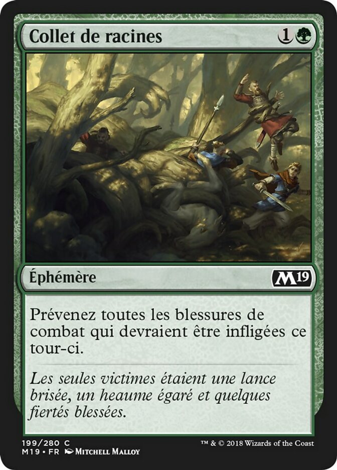 Collet de racines