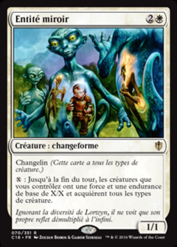 Entité miroir