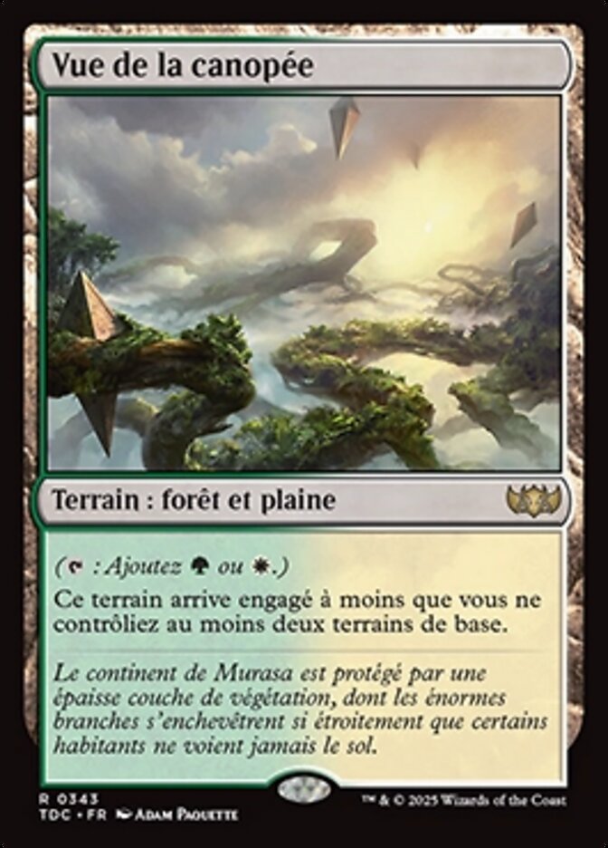 Vue de la canopée