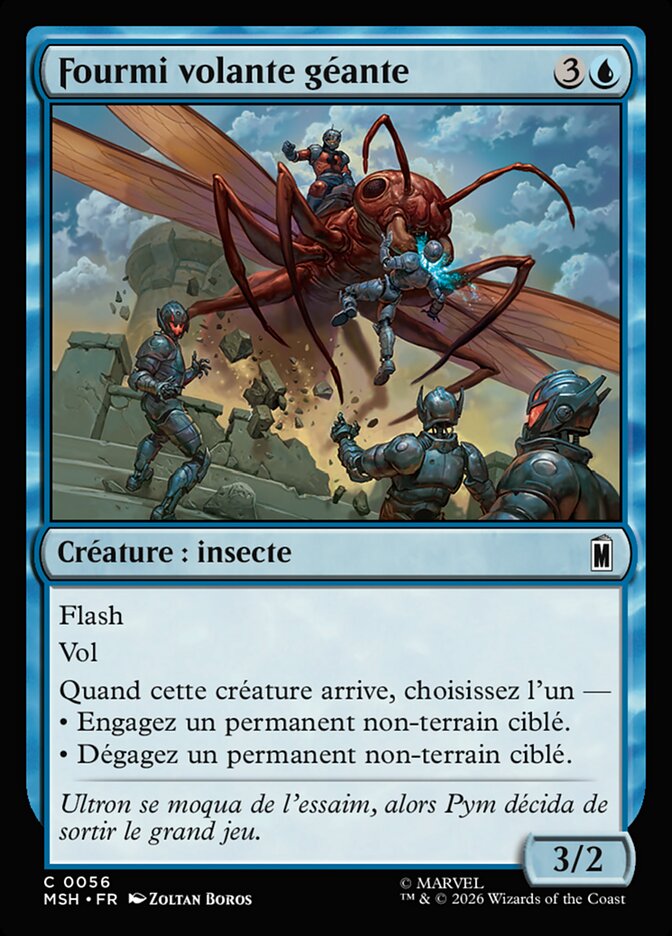 Fourmi volante géante