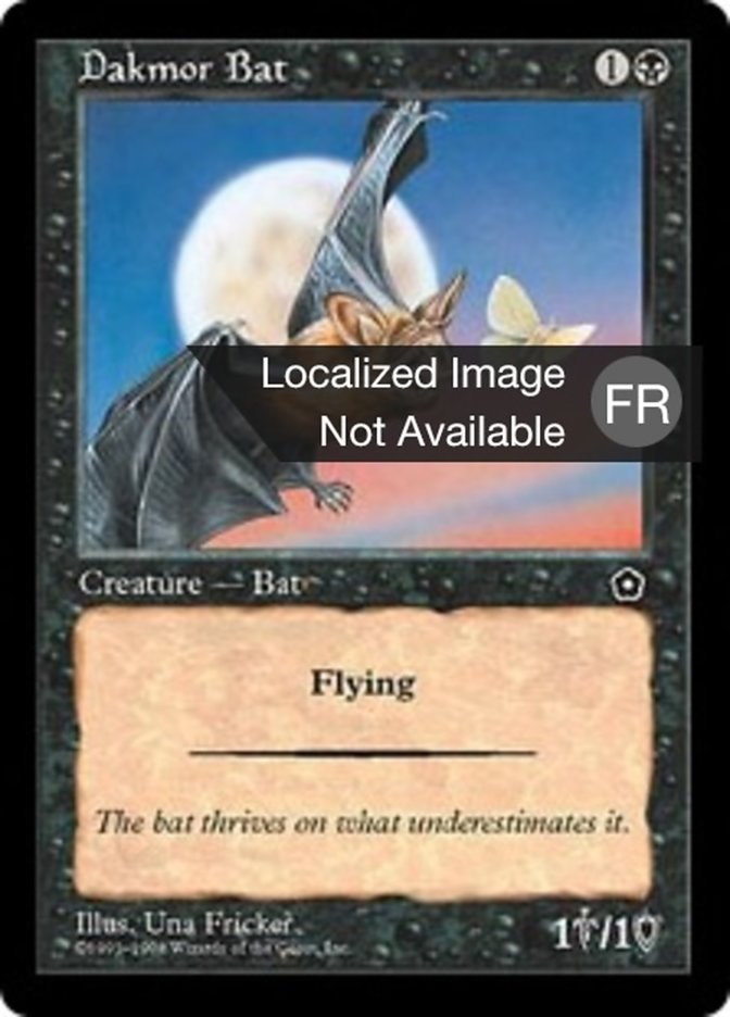 Chauve-souris du Marennois