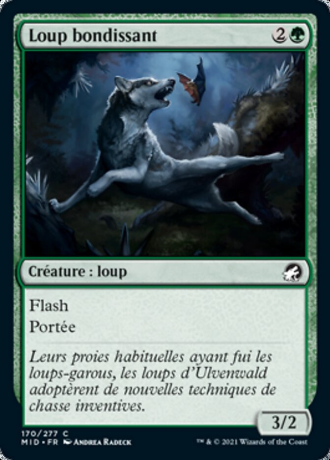 Loup bondissant