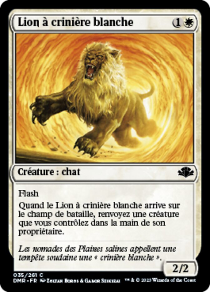 Lion à crinière blanche