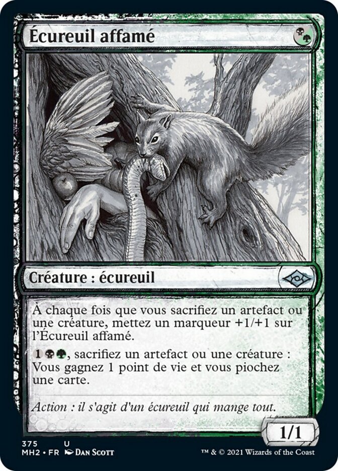 Écureuil affamé