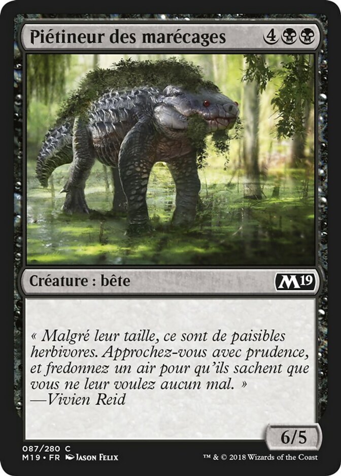 Piétineur des marécages