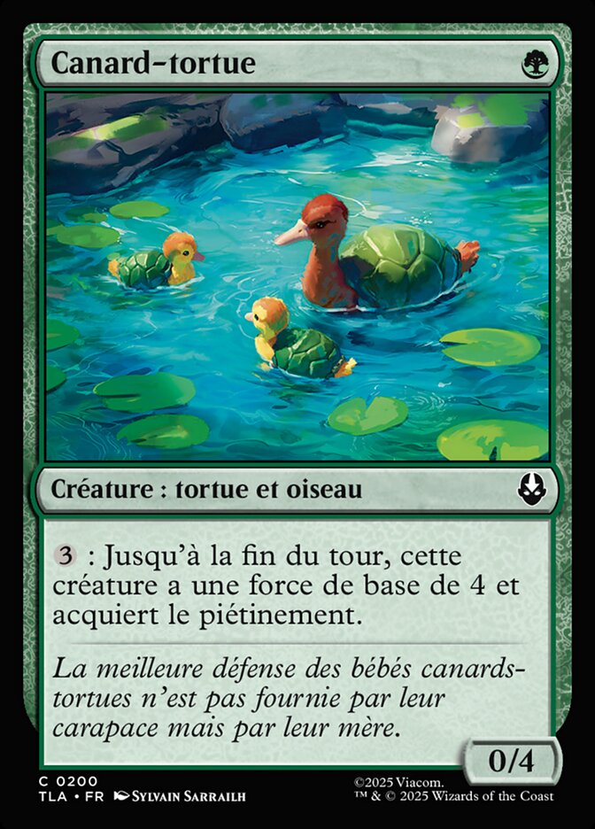 Canard-tortue