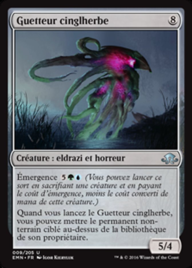 Guetteur cinglherbe