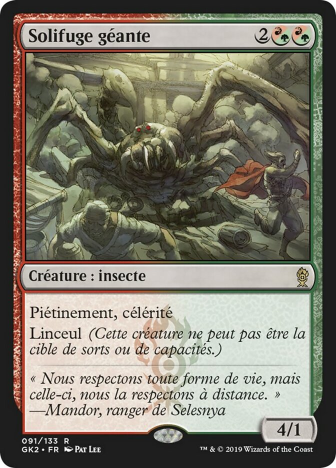 Solifuge géante