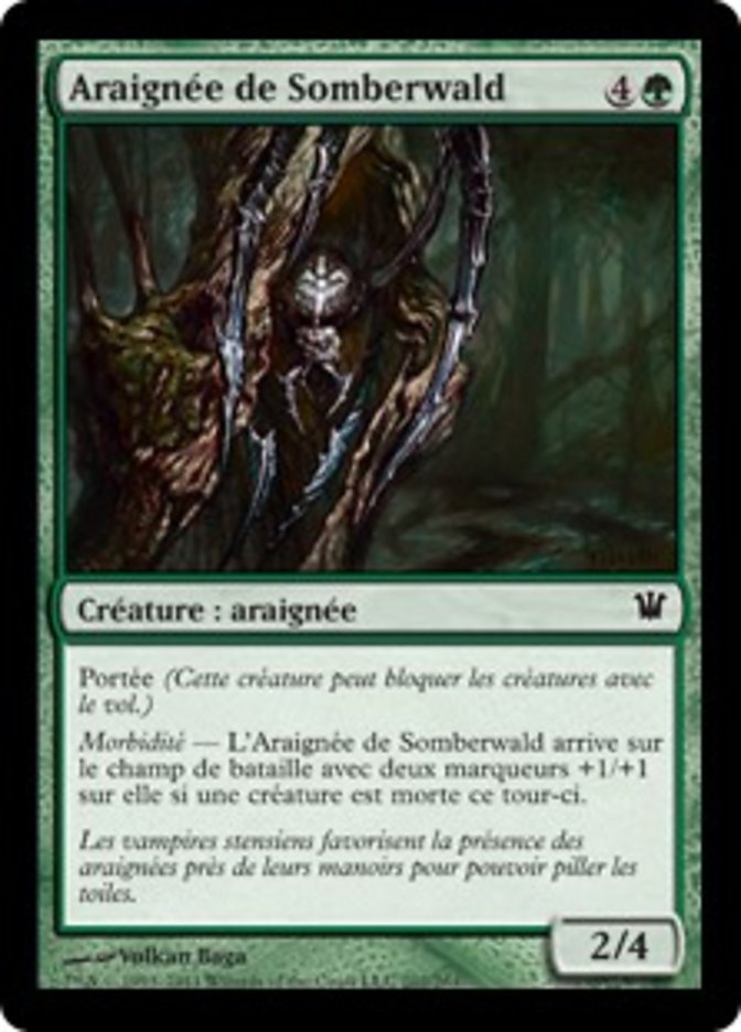 Araignée de Somberwald