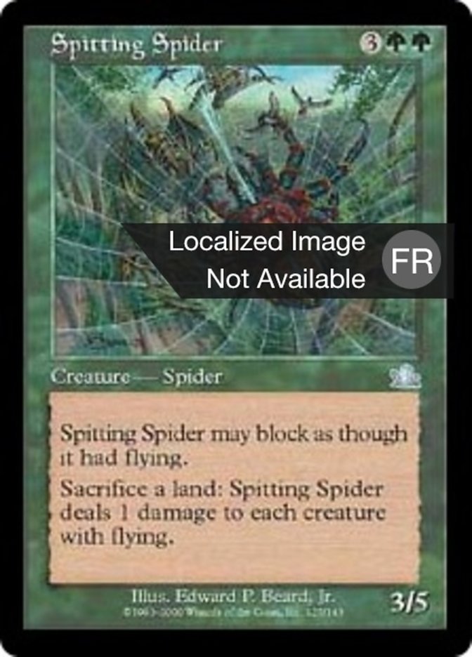 Araignée cracheuse