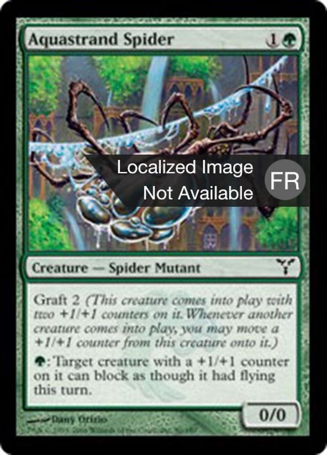Araignée aiguafile