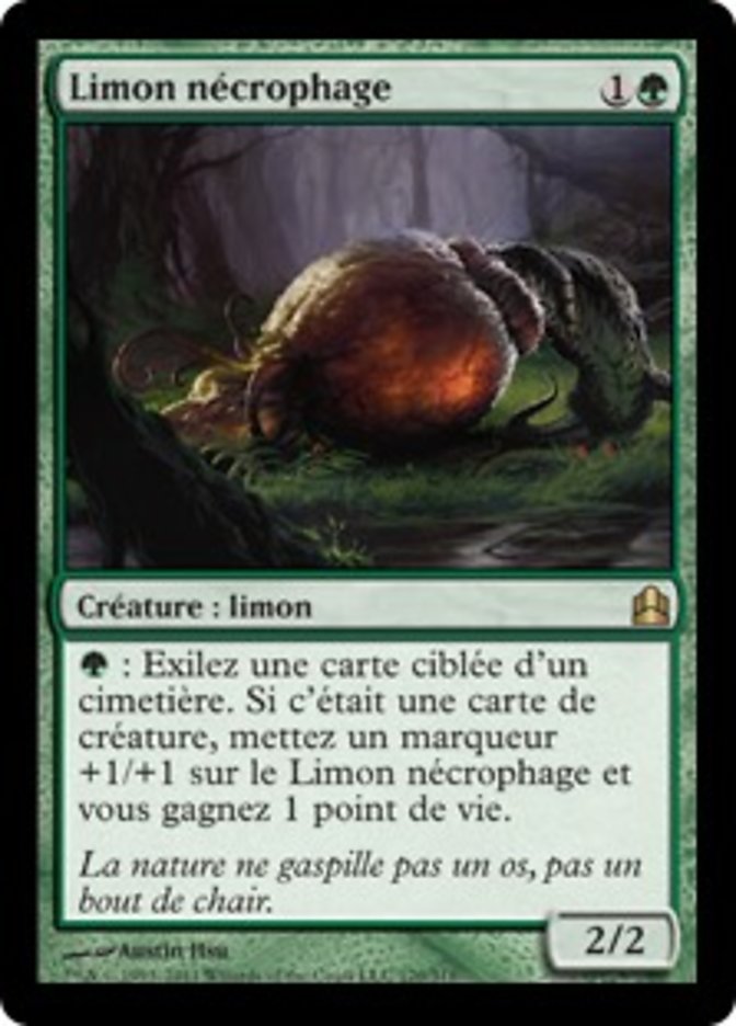 Limon nécrophage