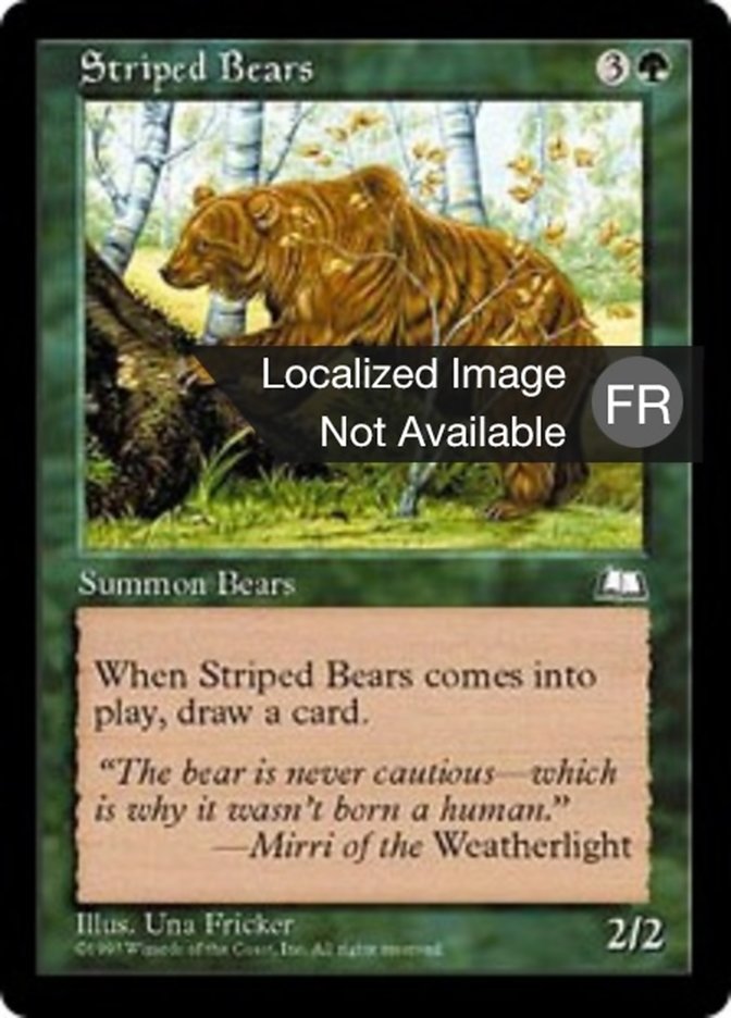 Ours tigrés