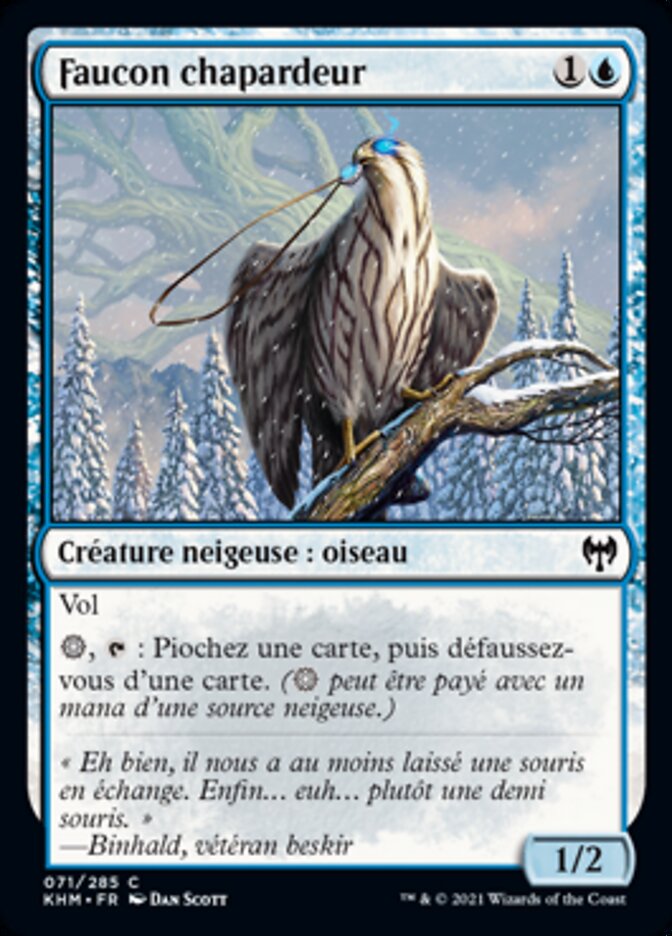 Faucon chapardeur