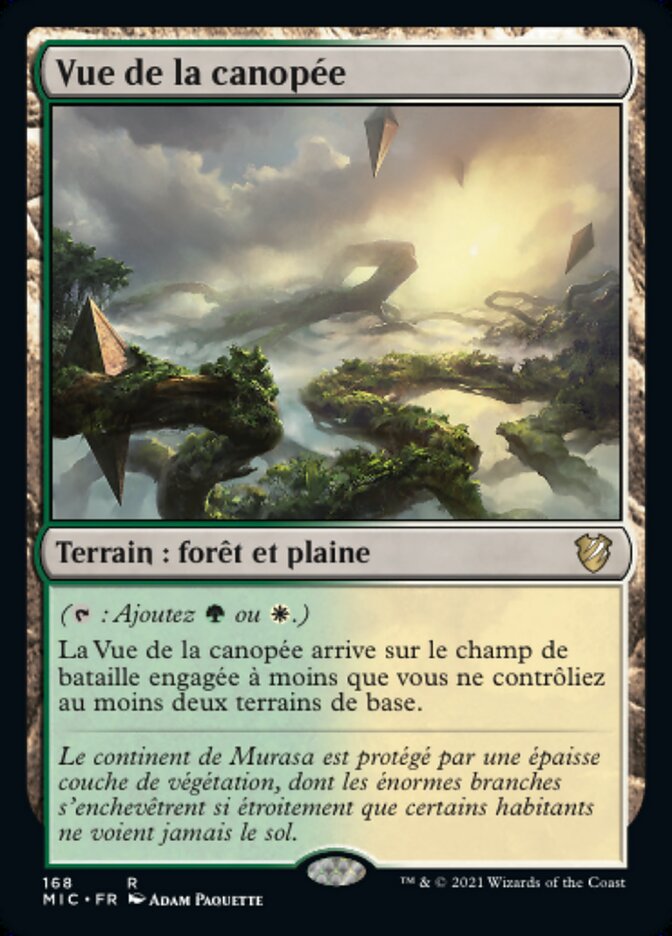 Vue de la canopée