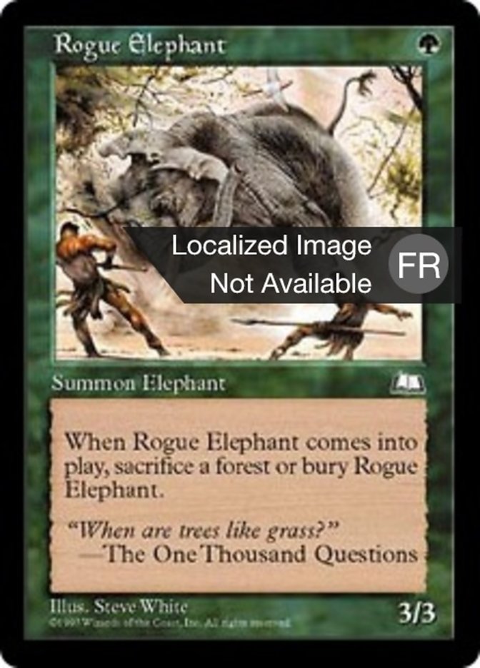 Eléphant solitaire