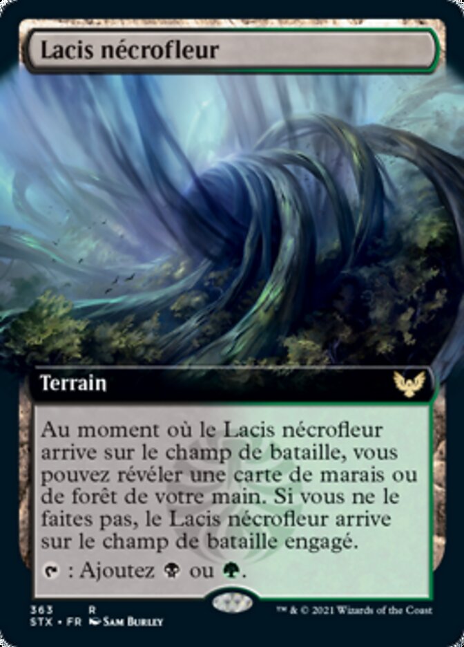 Lacis nécrofleur