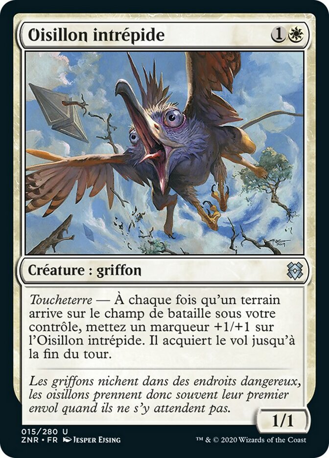Oisillon intrépide