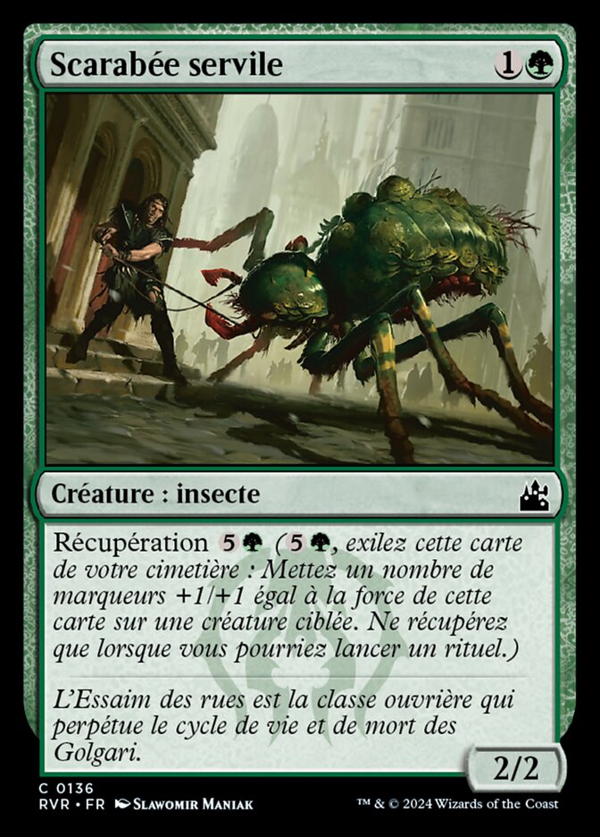Scarabée servile