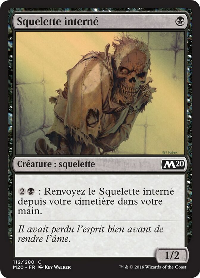 Squelette interné