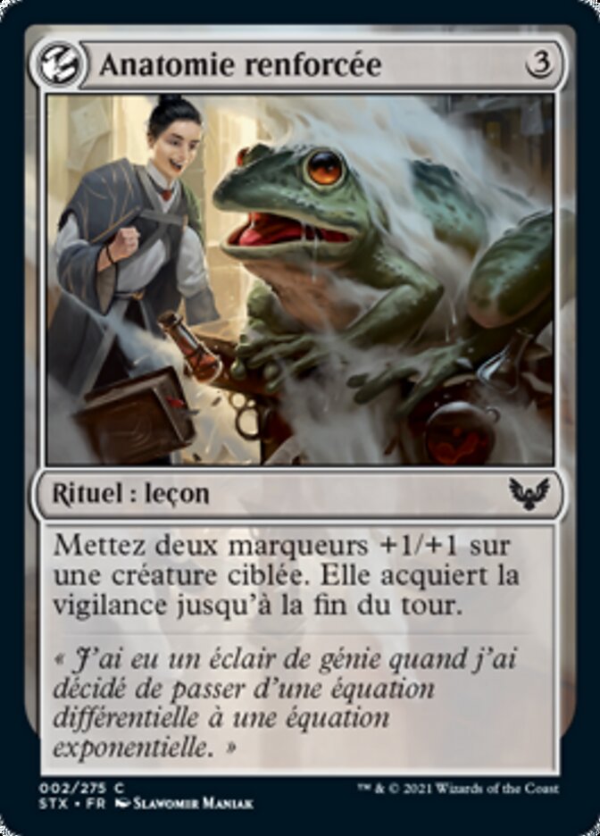 Anatomie renforcée