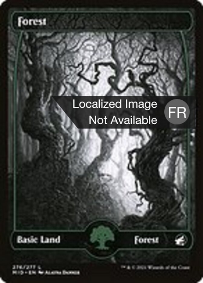 Forêt