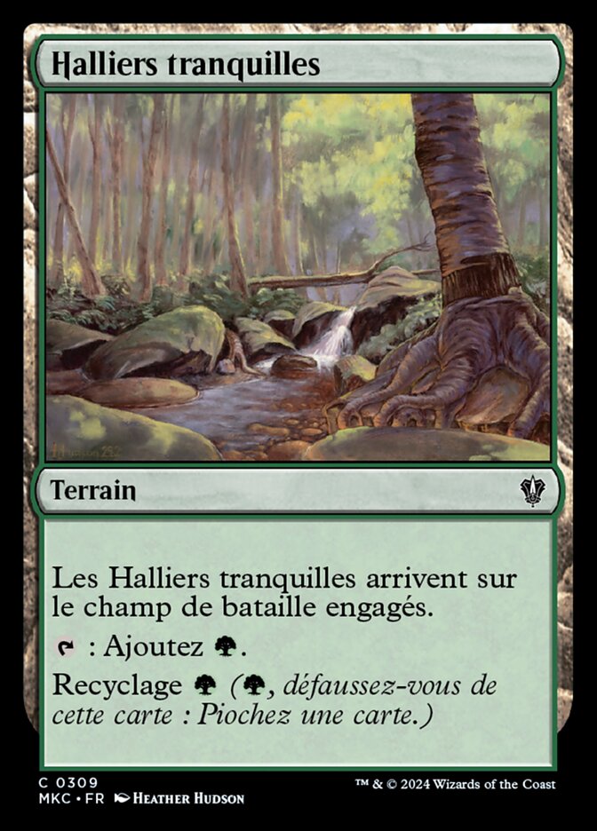 Halliers tranquilles