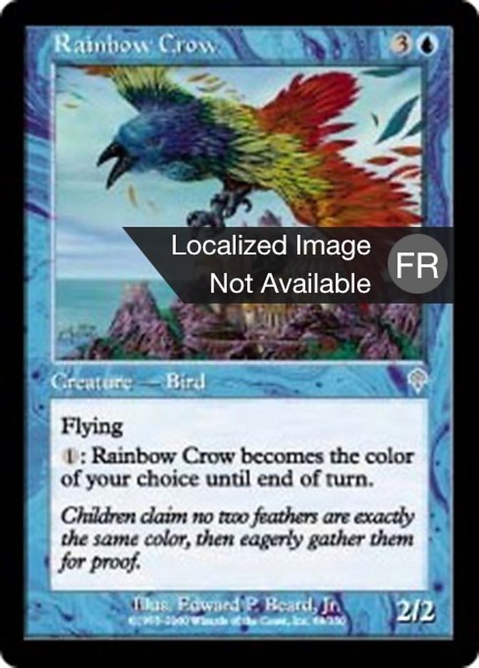 Corbeau de l'arc-en-ciel