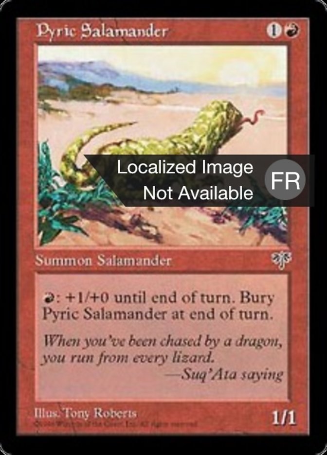 Salamandre pyrrique