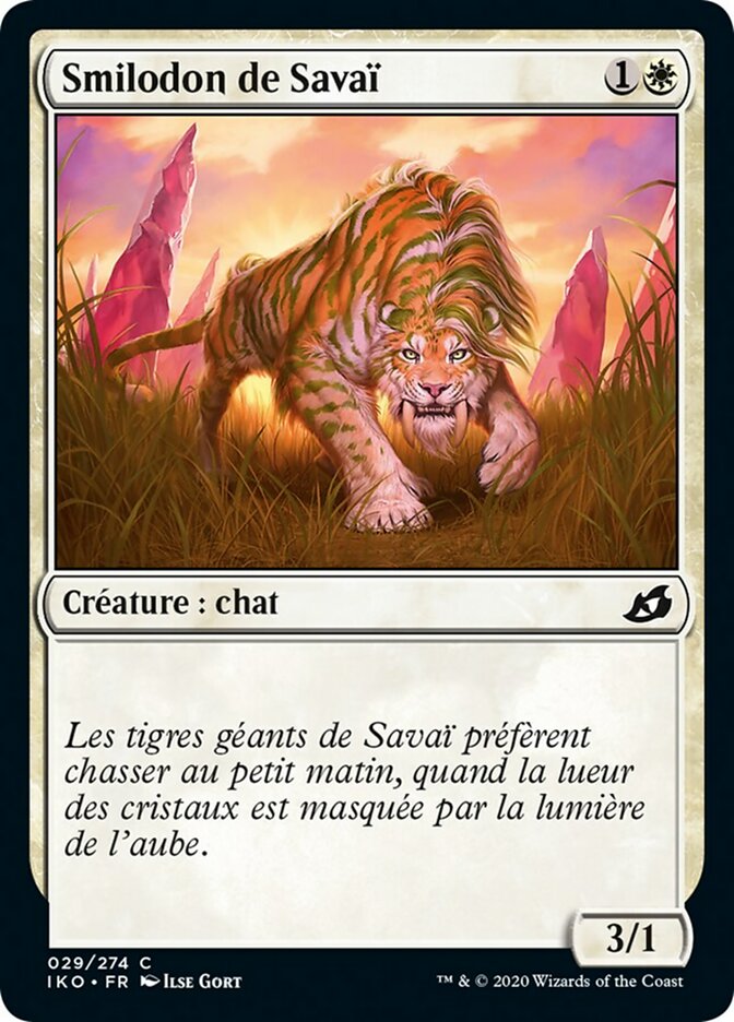 Smilodon de Savaï