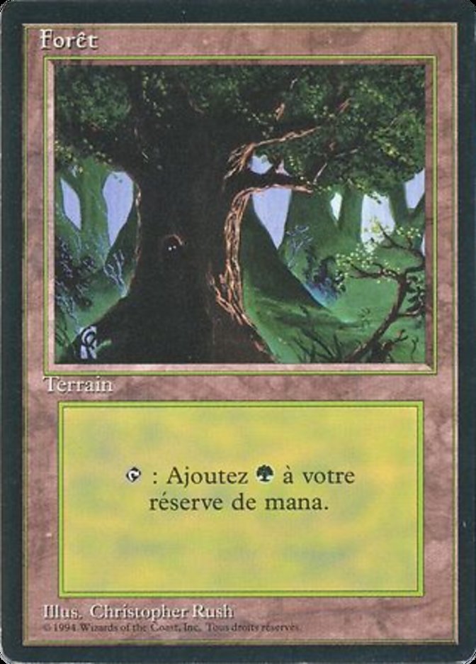 Forêt