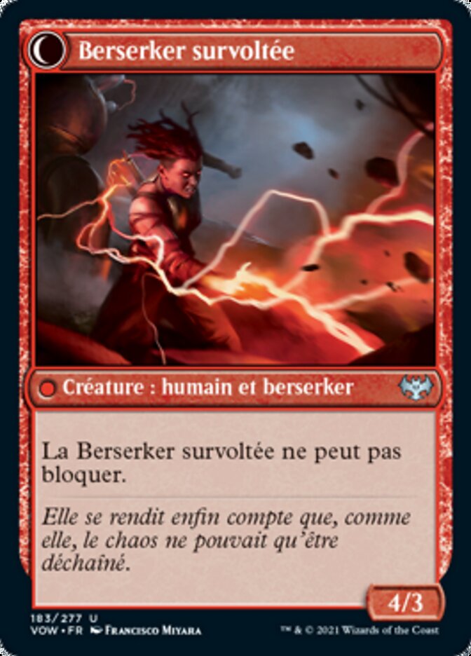 Visionnaire voltaïque